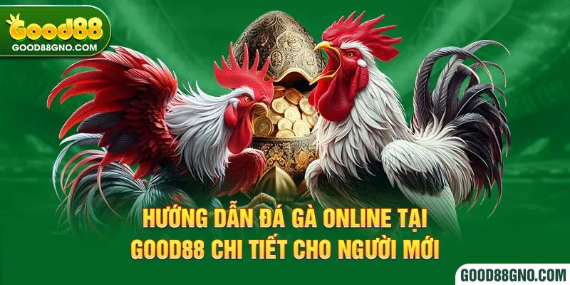 Hướng Dẫn Đá Gà Online Tại Good88 Chi Tiết Cho Người Mới