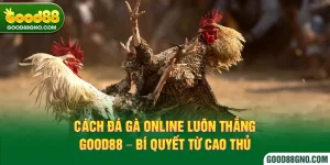 Cách đá gà online luôn thắng Good88 - Bí quyết từ cao thủ